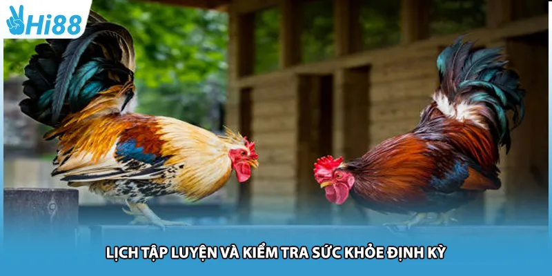 Lịch tập luyện và kiểm tra sức khỏe định kỳ