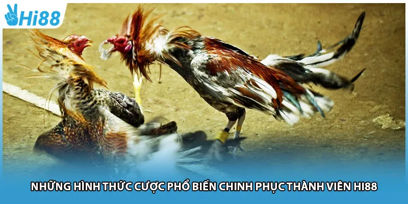 Những hình thức cược phổ biến chinh phục thành viên Hi88
